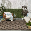 Nourison Easy Care NES01 Brown Area Rug 