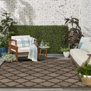 Nourison Easy Care NES01 Brown Area Rug 