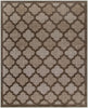 Nourison Easy Care NES01 Brown Area Rug 