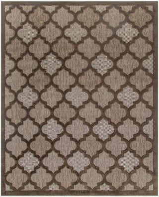 Nourison Easy Care NES01 Brown Area Rug 
