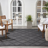 Nourison Easy Care NES01 Charcoal Black Area Rug 
