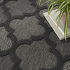 Nourison Easy Care NES01 Charcoal Black Area Rug 