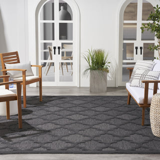Nourison Easy Care NES01 Charcoal Black Area Rug 