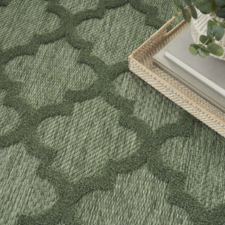 Nourison Easy Care NES01 Green Area Rug 
