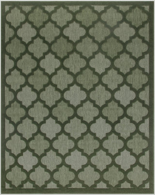Nourison Easy Care NES01 Green Area Rug 