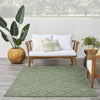 Nourison Easy Care NES01 Green Area Rug 