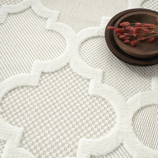 Nourison Easy Care NES01 Ivory White Area Rug 