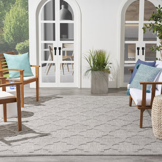 Nourison Easy Care NES01 Silver Grey Area Rug 
