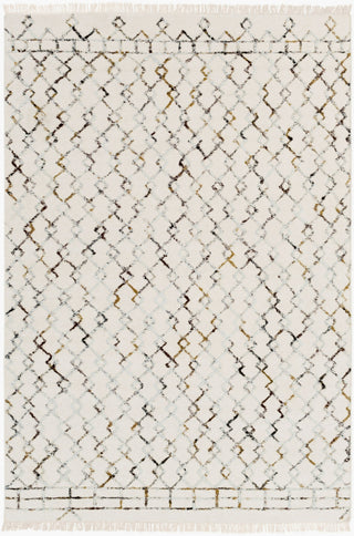 Surya Nettie NET-1001 Area Rug main image
