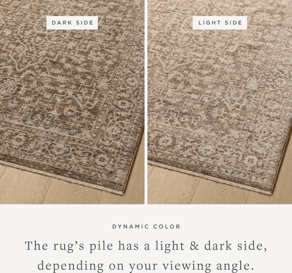 Loloi II Newman NEW-02 Dark Taupe / Natural Area Rug Lifestyle Image Feature