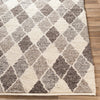 Surya Nico NIC-7002 Area Rug Angle