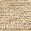 Nourison Natural Jute NJT01 Bleached Area Rug Swatch Image