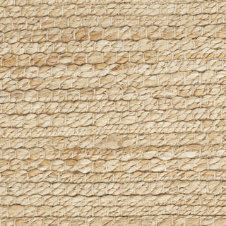 Nourison Natural Jute NJT01 Bleached Area Rug Swatch Image