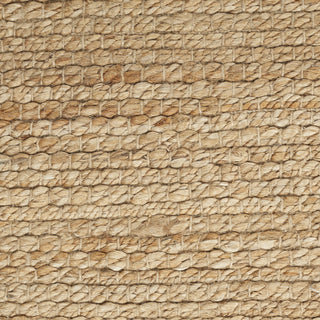 Nourison Natural Jute NJT01 Area Rug Swatch Image