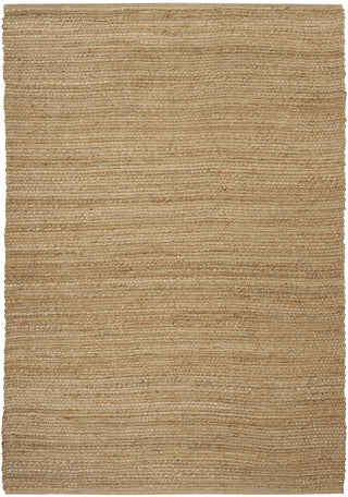 Nourison Natural Jute NJT01 Area Rug Main Image
