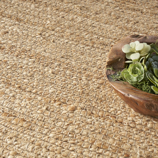 Nourison Natural Jute NJT01 Area Rug Corner Image