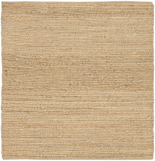 Nourison Natural Jute NJT01 Area Rug Main Image