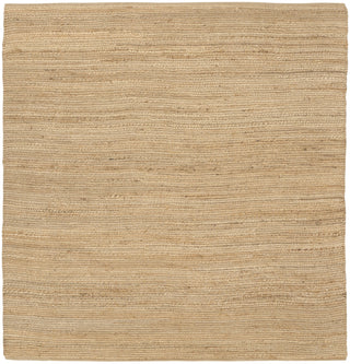 Nourison Natural Jute NJT01 Area Rug Main Image