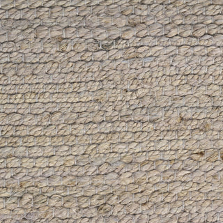 Nourison Natural Jute NJT01 Grey Area Rug 