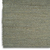 Nourison Natural Jute NJT01 Sage Area Rug 