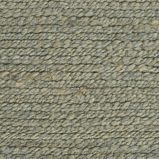Nourison Natural Jute NJT01 Sage Area Rug 