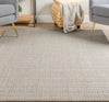 Dalyn Nepal NL100 Taupe Area Rug 