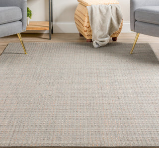 Dalyn Nepal NL100 Taupe Area Rug 