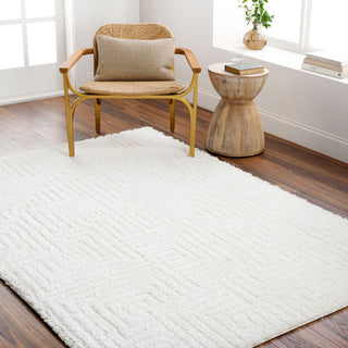 Livabliss Nomadic NMC-2314 Area Rug Room Scene Feature