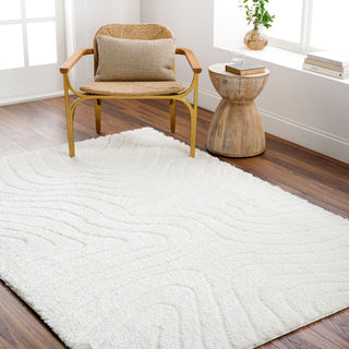 Livabliss Nomadic NMC-2315 Area Rug Room Scene Feature
