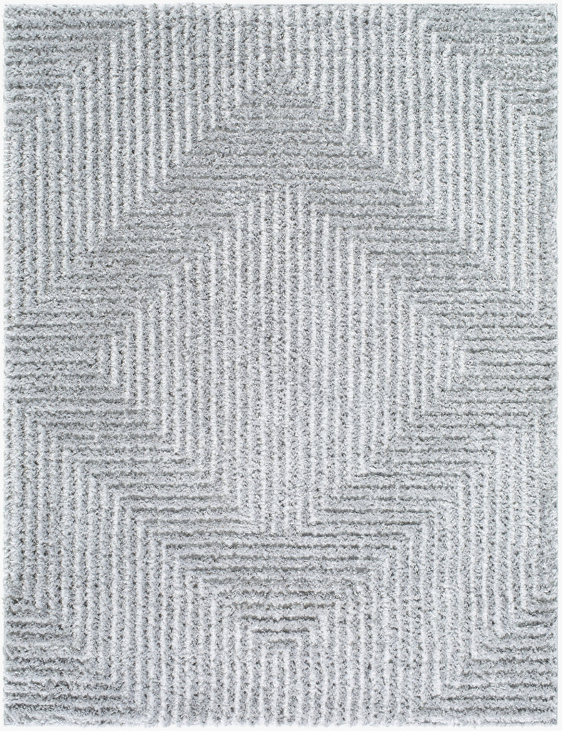 Livabliss Nomadic NMC-2324 Gray Area Rug main image