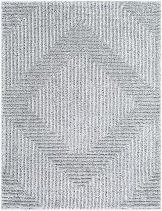 Livabliss Nomadic NMC-2324 Gray Area Rug main image