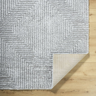 Livabliss Nomadic NMC-2324 Gray Area Rug Pile