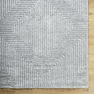 Livabliss Nomadic NMC-2324 Gray Area Rug 