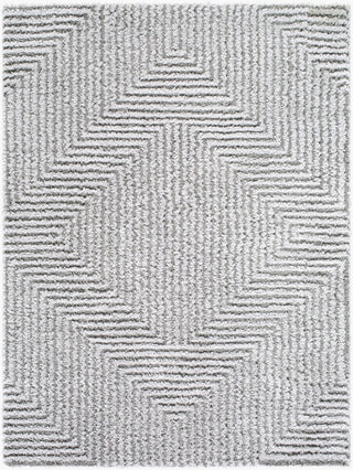 Livabliss Nomadic NMC-2325 Light Slate Area Rug main image