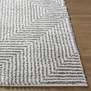 Livabliss Nomadic NMC-2325 Light Slate Area Rug Angle