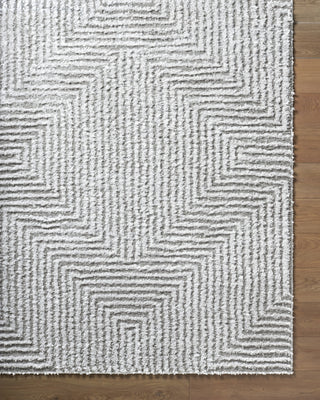 Livabliss Nomadic NMC-2325 Light Slate Area Rug 