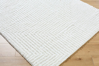 Livabliss Nomadic NMC-2327 Cream Area Rug Corner Shot