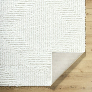 Livabliss Nomadic NMC-2327 Cream Area Rug Pile
