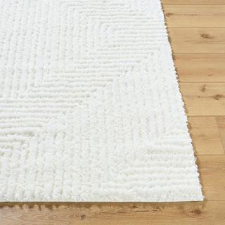 Livabliss Nomadic NMC-2327 Cream Area Rug Angle
