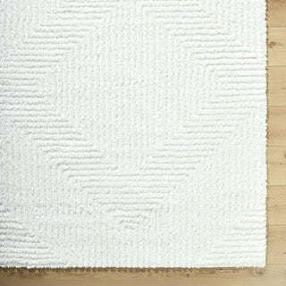 Livabliss Nomadic NMC-2327 Cream Area Rug 