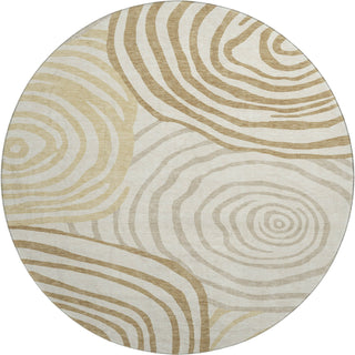 Dalyn Neo NO10 Gold Machine Washable Area Rug Round Main Image