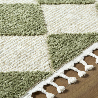 Livabliss Nora NOA-2314 Olive Area Rug Detail