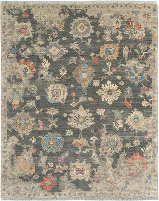 Havila Fine Rugs Neri H1894 Charcoal/Multi Area Rug