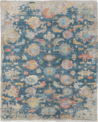 Havila Fine Rugs Neri H1896 Navy/Multi Area Rug