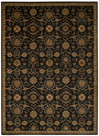 Nourison Ancient Times BAB01 Persian Treasure Black Area Rug 8' X 11'