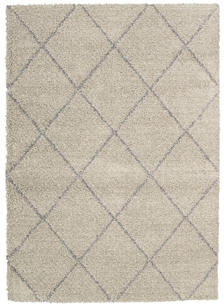 Nourison Brisbane BRI03 Ash Area Rug 5' X 7'