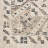 Nourison Fusion FSS11 Cream/Grey Area Rug Swatch Image