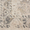 Nourison Fusion FSS11 Cream/Grey Area Rug Swatch Image