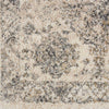 Nourison Fusion FSS11 Cream/Grey Area Rug Swatch Image