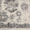 Nourison Fusion FSS15 Cream/Grey Area Rug Swatch Image